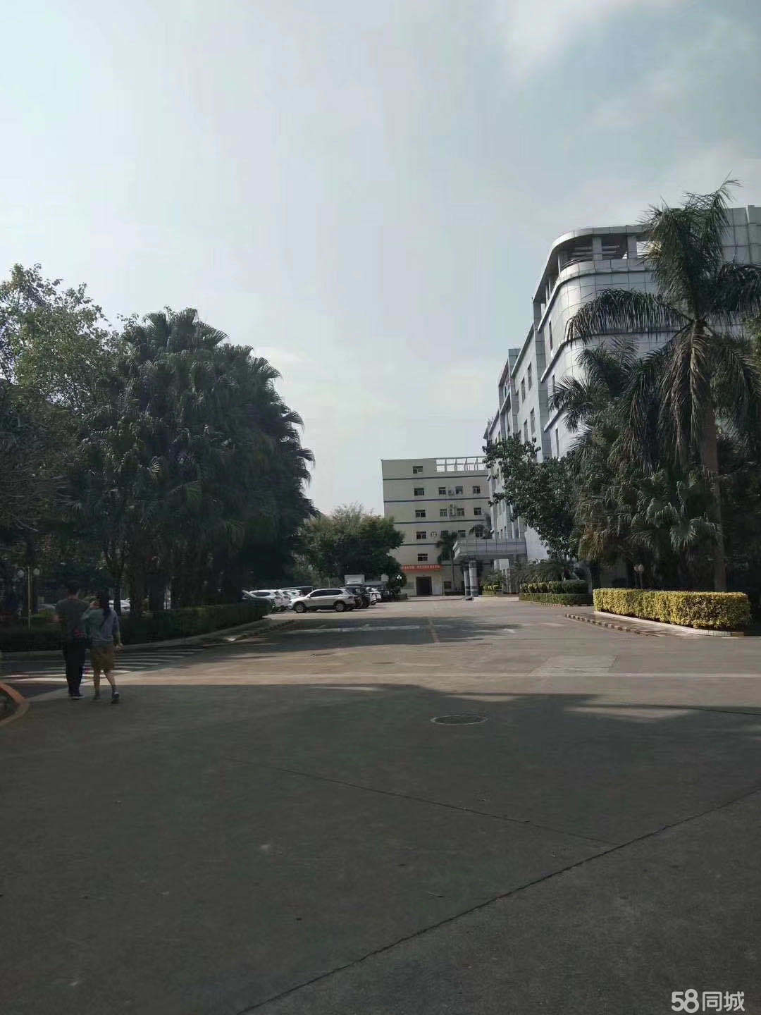 普工、生產工、操作工、裝配工、維修員、包裝工、插件、組長、拉長